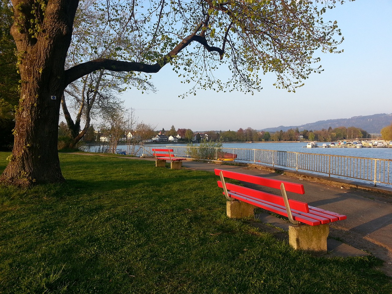 年轻球员的 年轻球员的