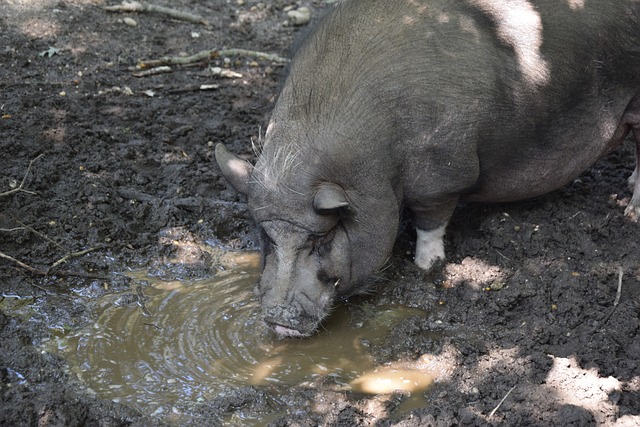 通过专注于 通过专注于