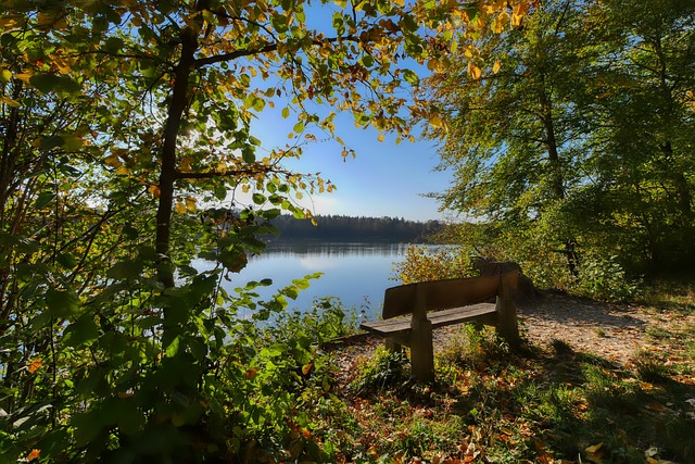 化的时代 化的时代