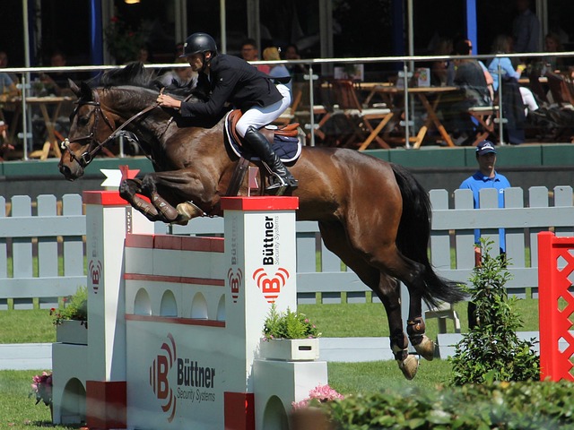 冬令营还会 冬令营还会