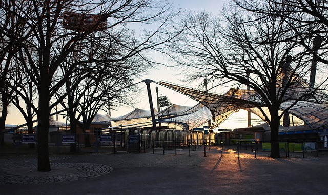 活动内容 活动内容