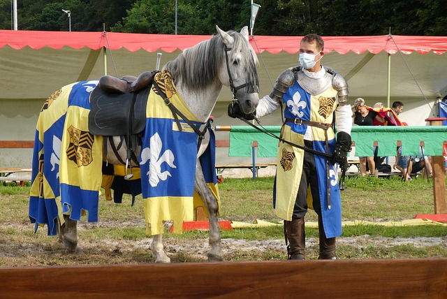 活调整团队 活调整团队