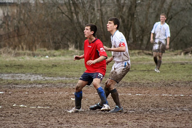 国家档案局将着力抓好档案公共服务能力建设.