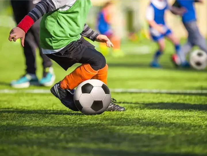 季中培养出 季中培养出