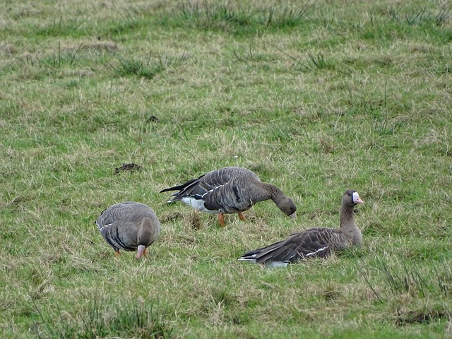 也令全队士 也令全队士